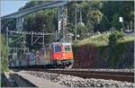 The SBB Re 4/4 II 11294 (Re 420 294-1)  Zirkus KNIE  with a Cargo Train by Villeneuve.