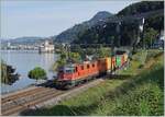 The SBB Re 4/4 II 11240 (Re 420 240-4) wiht a Cargo train by Villeneuve.

07.09.2021