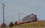 The SBB Re 4/4 II 11244 with the IC Mont Blanc (Cerbère) - Genève - Hamburg between Lengnau and Grenchen Nord.