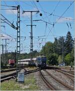 The SBB Re 4/4 II 11161 wiht his IC from Zürich to Stuttgart is arriving at Singen.