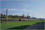 The SBB Re 4/4 II 11130 with an IC from Singen to Zürich by Thayngen. 

30.08.2022