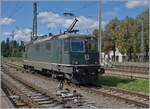 The SBB Re 4/4 II 11161 in Singen.

19.9.2022