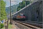 The SBB Re 4/4 II 11264 (Re 420 264-4) with a Cargo train by Veytaux-Chillon.