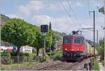 The SBB Re 4/4 II 11294 (Re 420 294-1)  Zirkus Knie  with a Cargo train by Ligerz.