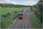 The SBB Re 4/4 II 11301 is on the way to Zurich with an IC shortly before Bietingen.