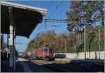 The SBB Re 4/4 II 11240 (Re 420 240-4) with is Cargo Service on the way to St Maurice in Burier.