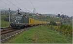 The green SBB Re 4/4 II 11335 with a mail-service by Auverier on the way to Daillens. 

8.10.2025  