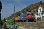 On the last single-track section of the Jura foot line shortly after Ligerz, the SBB Re 4/4 II 11288 (Re 420 288-3) 'Avanti tutta' is on its way towards Biel/Bienne with a mail train.

July 16, 2026