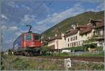 Near Ligerz, on the last single-track section of the Jura Foot Line, SBB Re 4/4 11346 (Re 420 346-9) is heading toward Neuch�tel.
Both the locomotive and this stretch of line are likely to become a thing of the past in the foreseeable future—reason enough to capture as many impressions as possible here at the uniquely positioned kilometer marker 94.4.

August 24, 2026