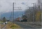 The BLS Re 4/4 172 and a BLS Re 465 with a Cargo Train near Muelenen. 
09.11.2017