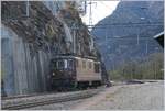 The BLS Re 4/4 194 on the way to Brig in Lalden.

25.10.2017