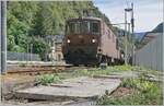The BLS Re 4/4 195 is leaving the station of Iselle di Trasquera with its car shuttle train to Brig.

September 12, 2024
