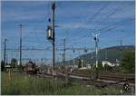 The SBB Re 430 357-4 in Bile RB. in the backgrund old Semaphors.
16.05.2017