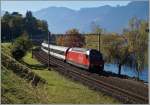 The SBB Re 460 037-5 wiht an IR to the Geneva Airport near Villeneuve.
01.11.2014