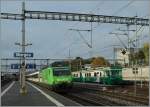 SBB Re 460 060-5 and BAM local train in Morges.
15.10.2014