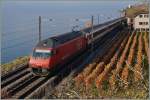 The SBB Re 460 049-0 with an IR by St Saphorin.
22.11.2014