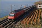 The SBB Re 460 049-0 with an IR by St Saphorin.