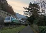 The SBB Re 460 005-2  Thales  by the Castle of Chillon.