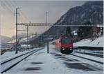 The SBB Re 460 117-5 with an IR to Basel in Immensee.