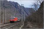 A SBB Re 460 016 with his IC on the way to Domodossola by Varzo.