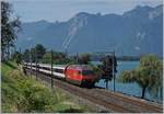 The SBB Re 460 017-4 with his IR to Geneva Airport by Villeneuve.
02.08.2017