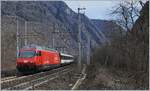 A SBB Re460 with an IR from Basel to Domodossola by Varzo.