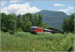 A SBB Re 460 wiht a IR to Locarno by the Ticino Bridge.