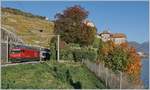 A SBB REe 460 wiht an IR to Brig in Rivaz. On the lesft site the Chastle of Glèrolles.
16.10.2017