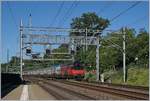 A SBB Re 460 with an IC to St Gallen in Genthod Bellevue.