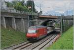 A SBB Re 460 with his IR90 on the way to Brig.