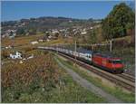 The SBB Re 460 076-9 with an IC to St Gallen by Bossière.