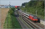 A SBB Re 460 wiht an IC on the way to Olten on the NBS by Langenthal. 

10.08.2020