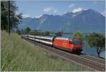 A SBB Re 460 wiht a typical IR 90 service near Villeneuve on the way to Genève Aéroport.