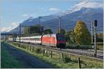 The SBB Re 460 115-9 with his IR 90 to Geneva Airport in St Triphon.