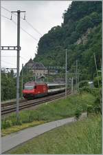 A SBB Re 460 with his IR 90 on the way to Brig by St-Maurice.