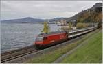 A SBB Re 460 wiht his IR 90 by the Castle of Chillon on the way to Brig.