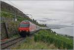 Works on the line and the Re 460 089-6 runs wiht his IR 90 from Brig to Geneva via the vineyard-Line. 

29.08.2020