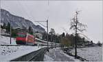 There is not very often snow on the laksite by Villenveuve: A SBB Re 460 with an IR90 on the way to Brig.

25.01.2021