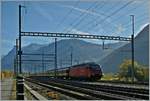 The SBB Re 460 070-4 with an IR to Genève Aéreoport by the Lötschberg-Tunnel (LBT) Junction near Visp. 

7.11.2013
