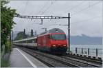 A SBB Re 460 wiht an IR 90 on the way to Geneva Airport in St Saphorin.