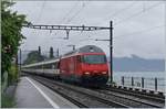 A SBB Re 460 wiht an IR 90 on the way to Geneva Airport in St Saphorin. 

11.05.2020 