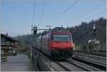 The SBB Re 460 049-0 wiht an IC to Romanshorn by Mülenen. 

14.04.2021