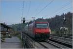 The SBB Re 460 049-0 wiht an IC to Romanshorn by Mülenen. 

14.04.2021