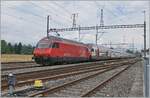 A SBB Re 460 with his IC1 from St Gallen to Geneva in Coppet.

28.06.2021