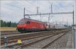 A SBB Re 460 with his IC1 from St Gallen to Geneva in Coppet.