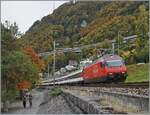 A SBB Re 460 with an IR90 near Villeneue on the way to Brig.