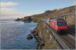 A SBB Re 460 with an IR90 on the way to Lausanne between St Saphorin and Rivaz.