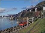 The SABB Re 460 116-3 with his IR 90 on the way to Brig.