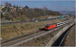 A SBB Re 460 with an IR 90 on the way form Brig to Geneva Airport by Denges Echandens.