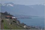 The SBB Re 460 092-9 wiht his Dosto 2000 RE 30266 from St-Maurice to Genève Aéroport on the vineyard line between Vevey and Chexbres. 

20.03.2022 